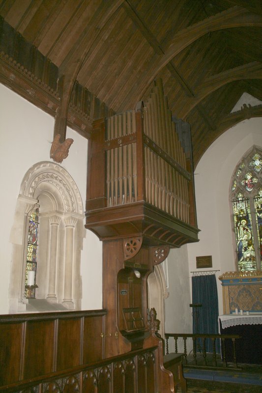 organ