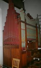 Organ